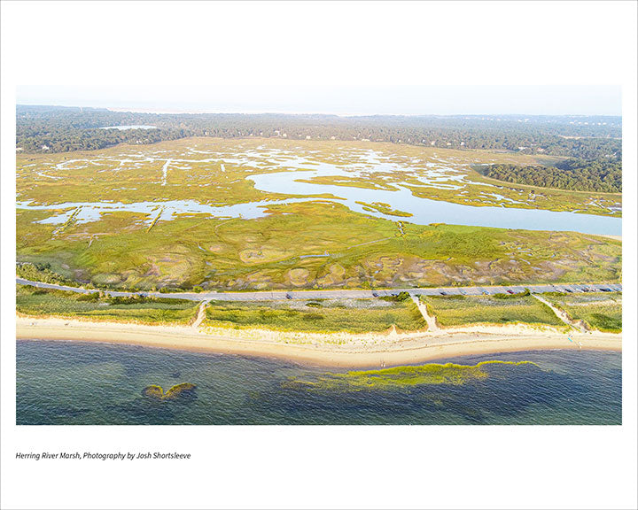 Herring River Marsh Cape Cod Life Shop