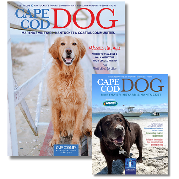 Online Exclusive: Cape Cod DOG Bundle – Cape Cod Life Shop