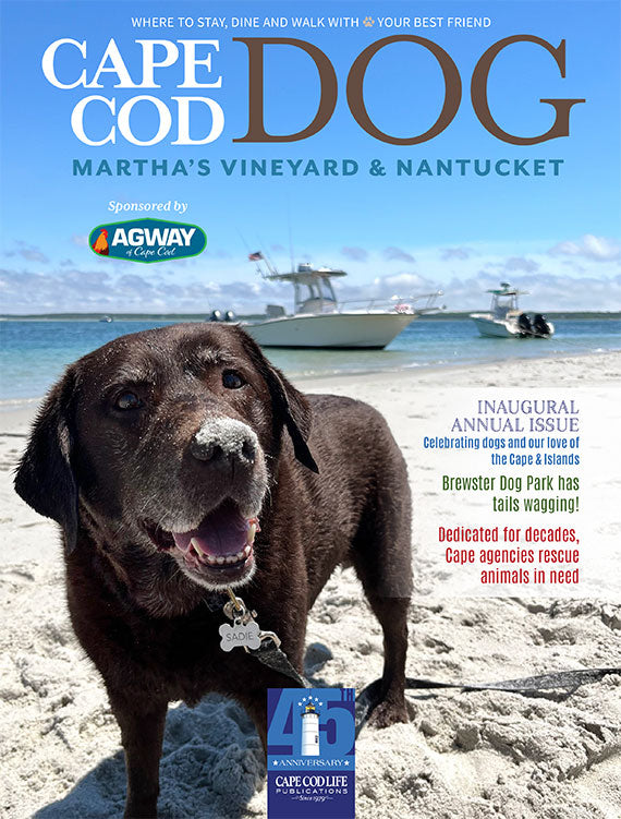 Cape Cod DOG 2024