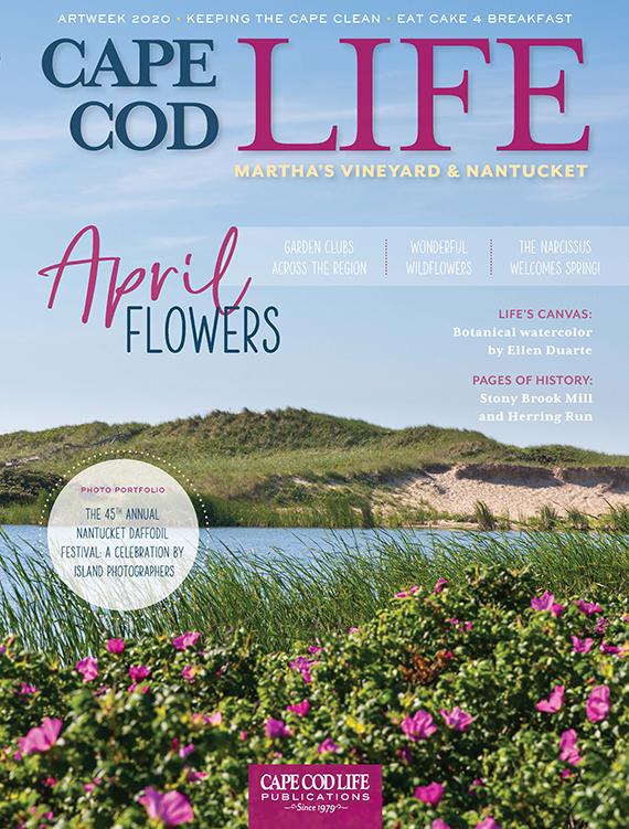 Cape Cod LIFE April 2020
