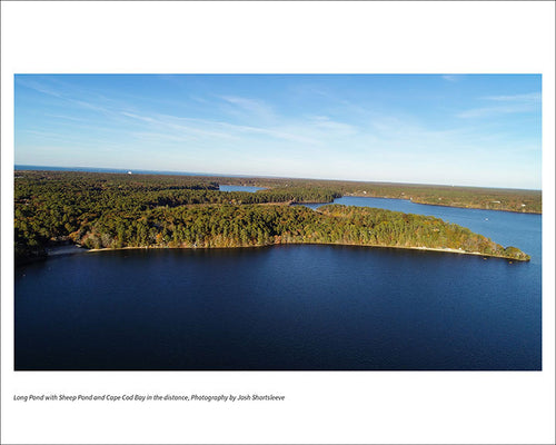Long Pond with Sheep Pond and Cape Cod Bay in the distance