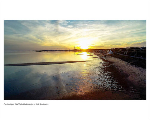 Provincetown Tidal Flats