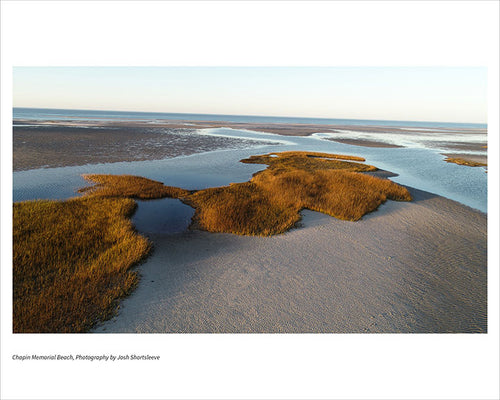 Chapin Memorial Beach