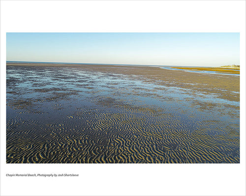 Chapin Memorial Beach