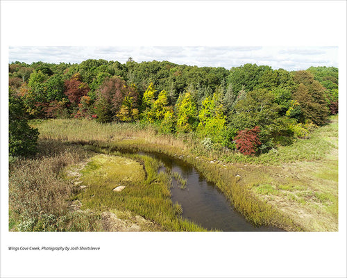 Wings Cove Creek
