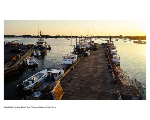 Great Harbor Landing, Woods Hole