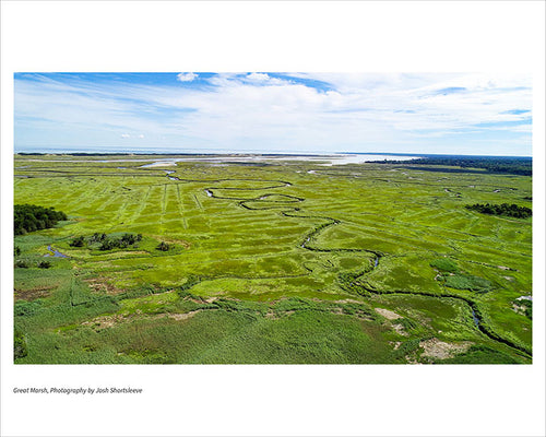 Great Marsh
