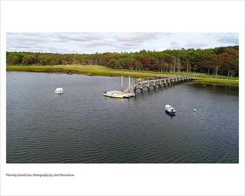 Planting Island Cove
