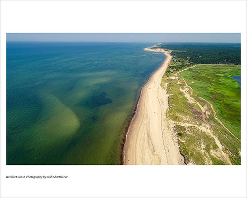 Wellfleet Coast