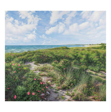 Load image into Gallery viewer, &quot;Cape Cod Paradise&quot;