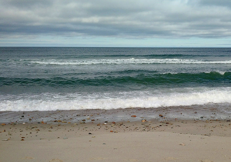 East Sandwich Beach – Cape Cod Life Shop
