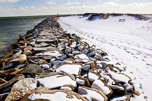 Dowses Beach Osterville