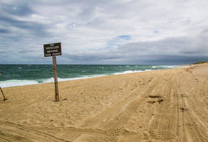 Race Point Beach #002