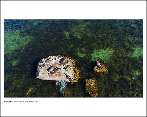 Seal Rocks