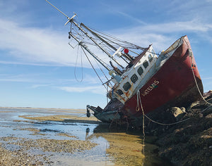 Artemis shipwreck, Provincetown