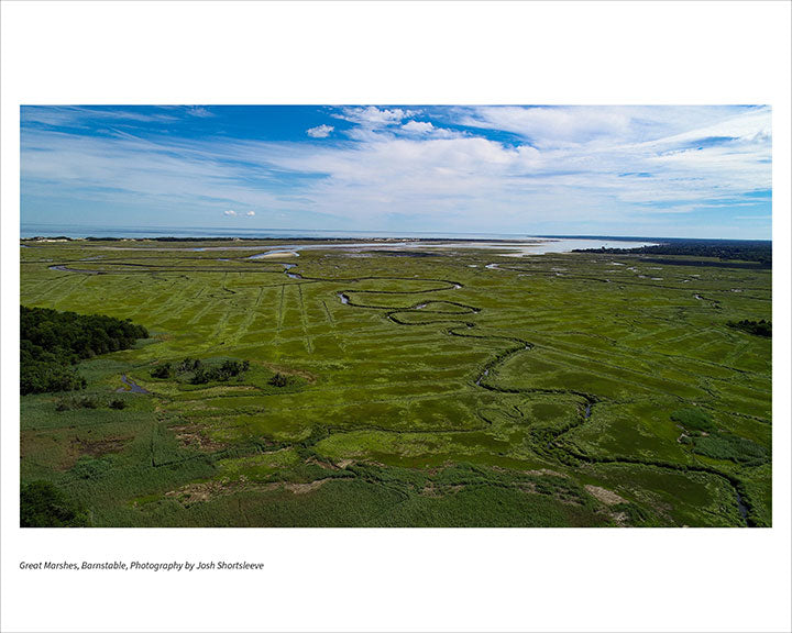 Great Marshes, Barnstable